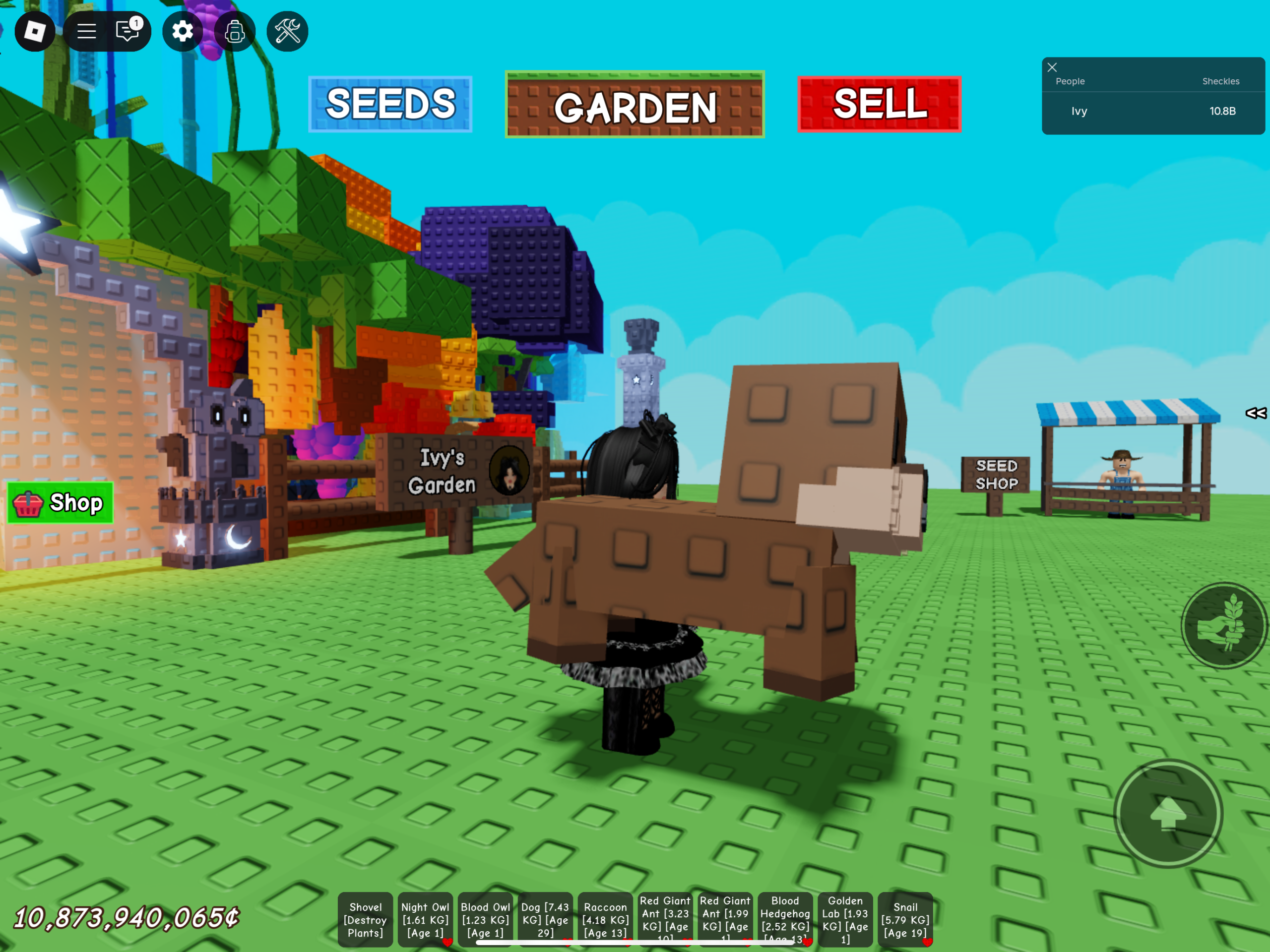 Benefits Of Owning The Grow A Garden Sea Otter