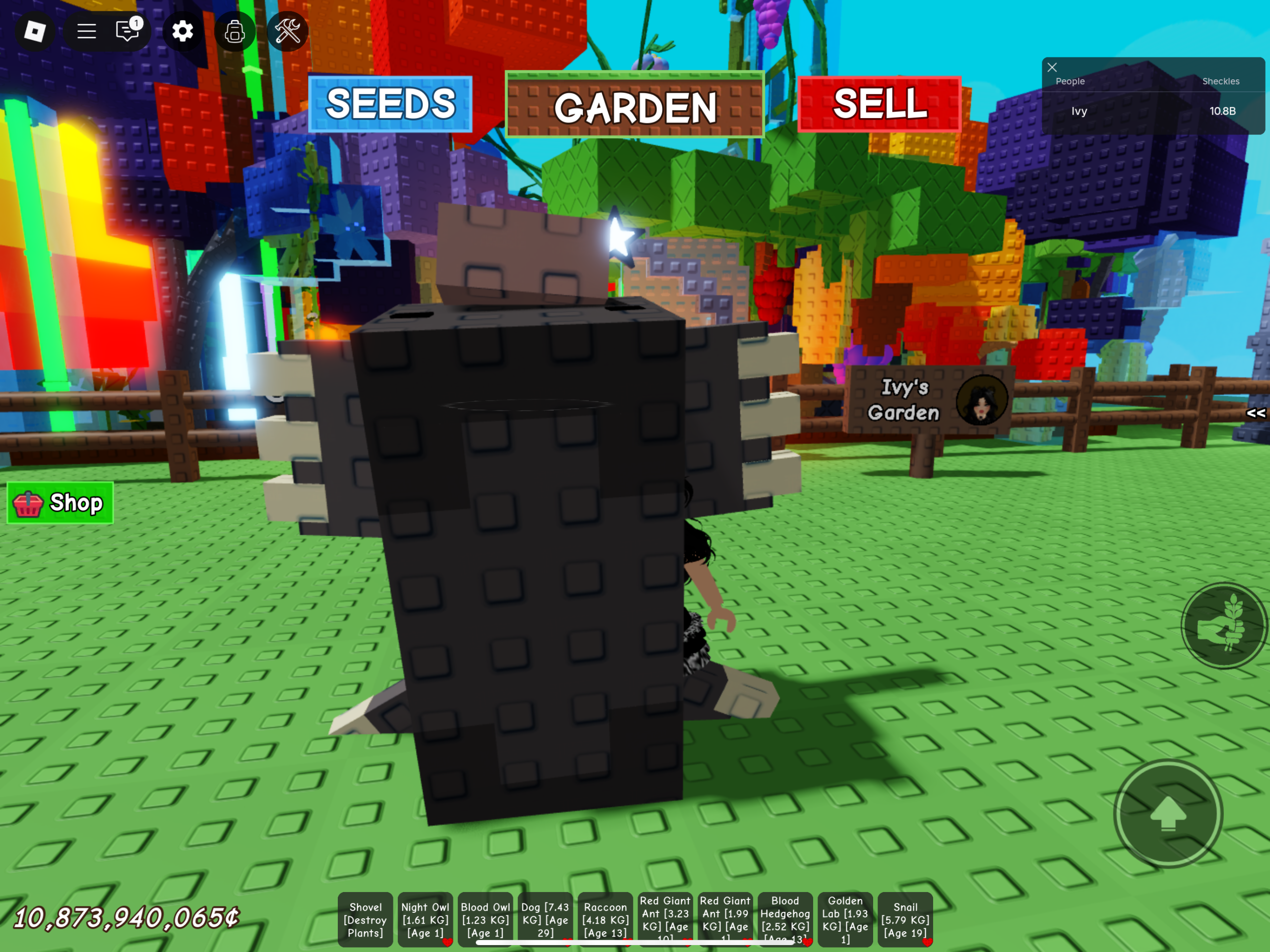 The Benefits Of The Mole Pet In Grow A Garden