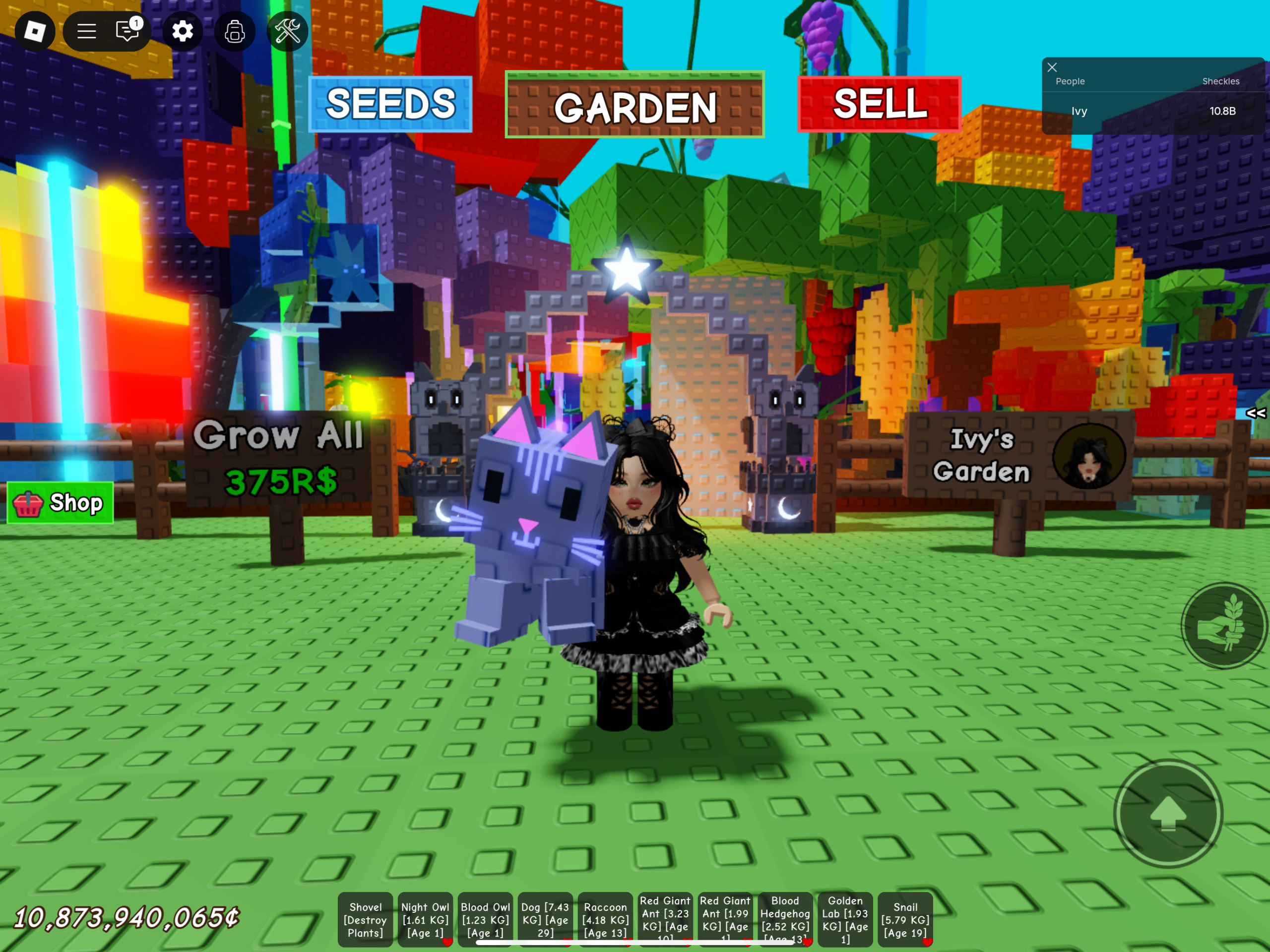 How To Get The Moon Cat Pet In Grow A Garden