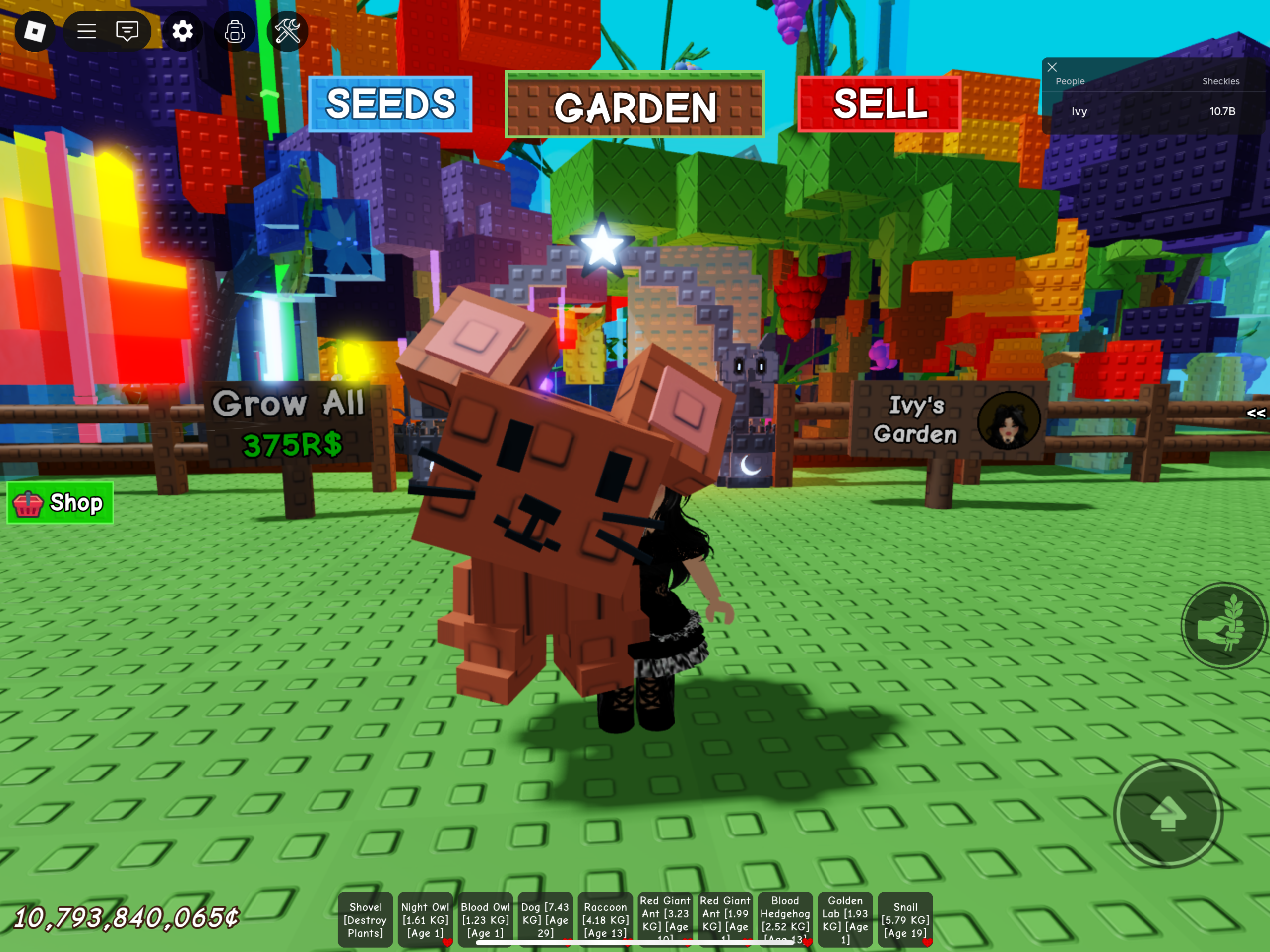 Benefits Of Owning The Grow A Garden Brown Mouse Pet