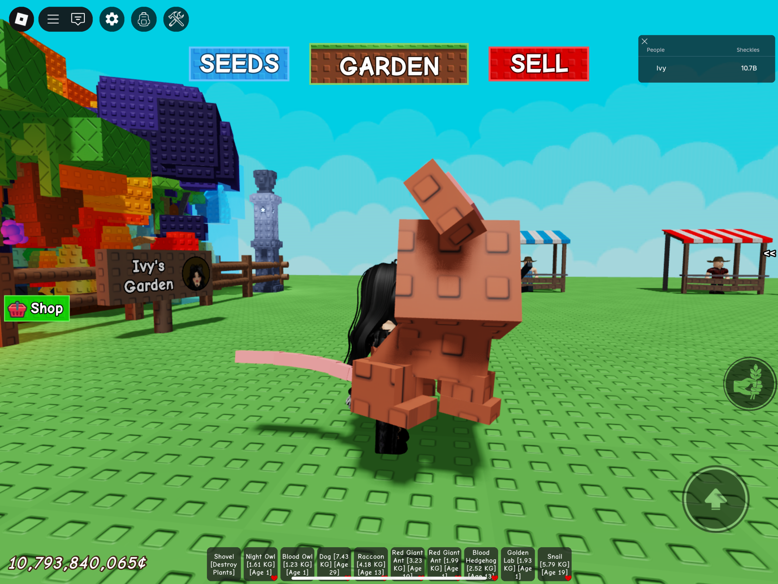Benefits Of Owning The Grow A Garden Brown Mouse Pet
