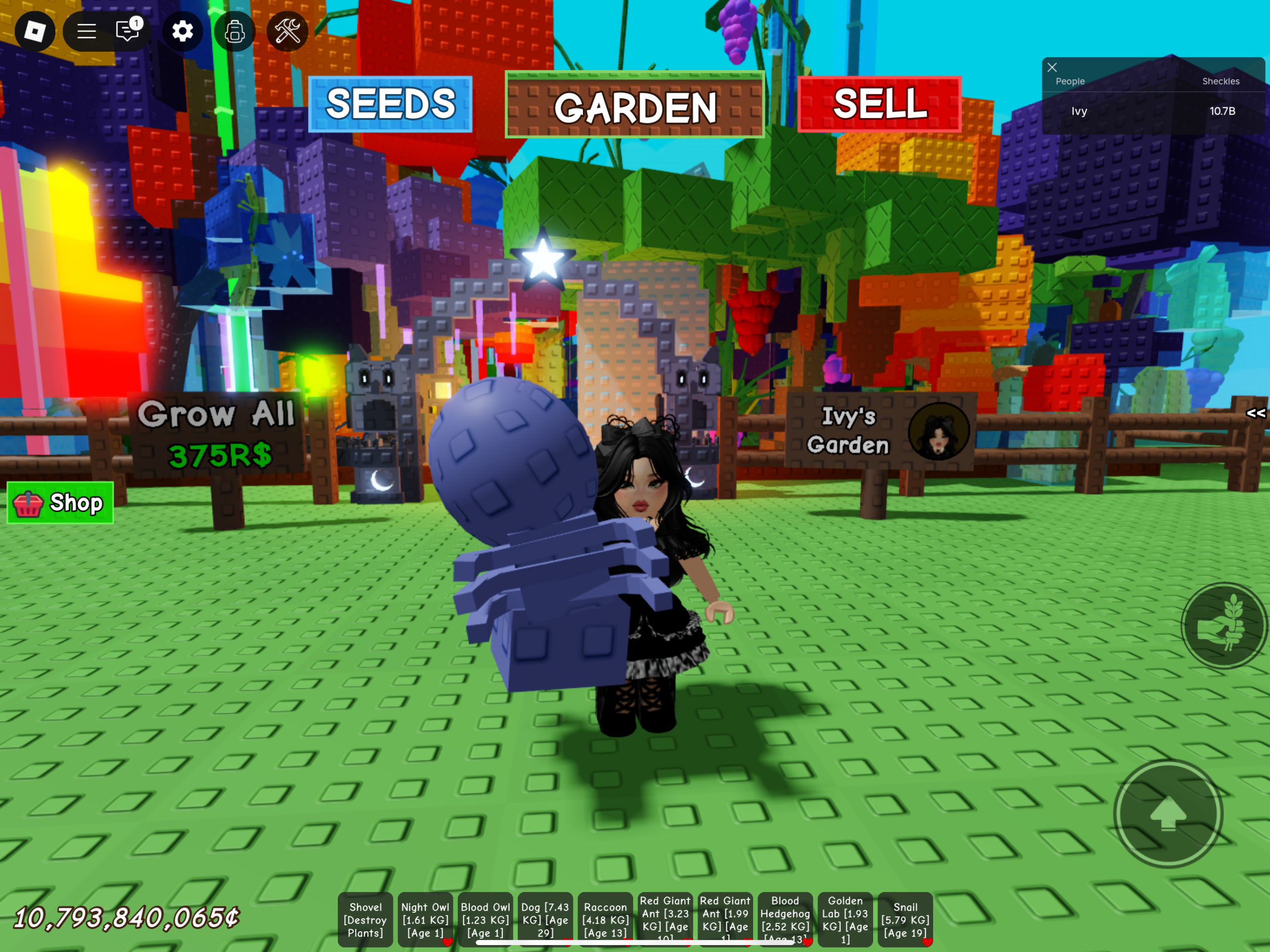 Benefits Of Owning The Grow A Garden Giant Ant Pet
