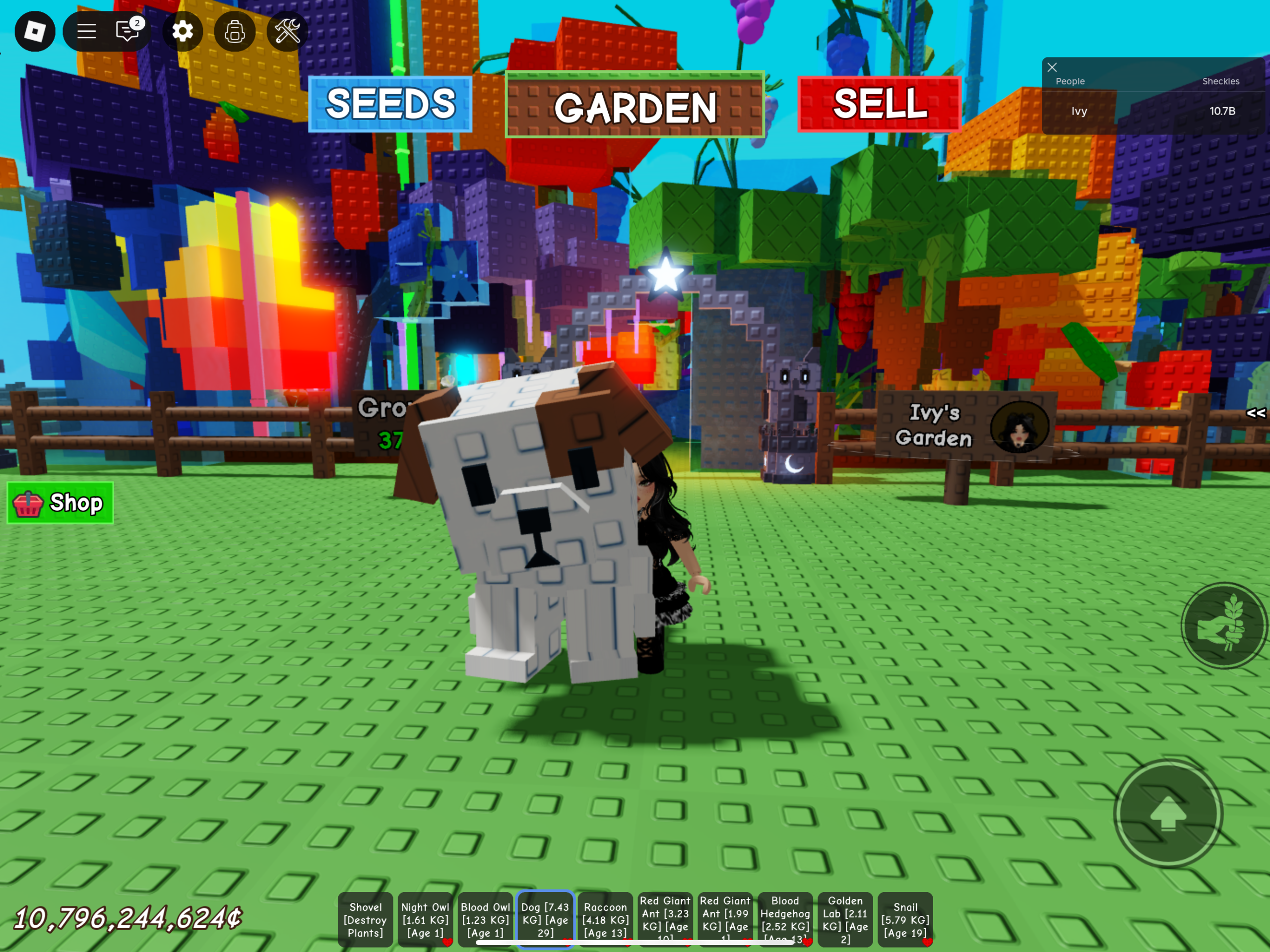 Everything You Need To Know About The Grow A Garden Dog Pet