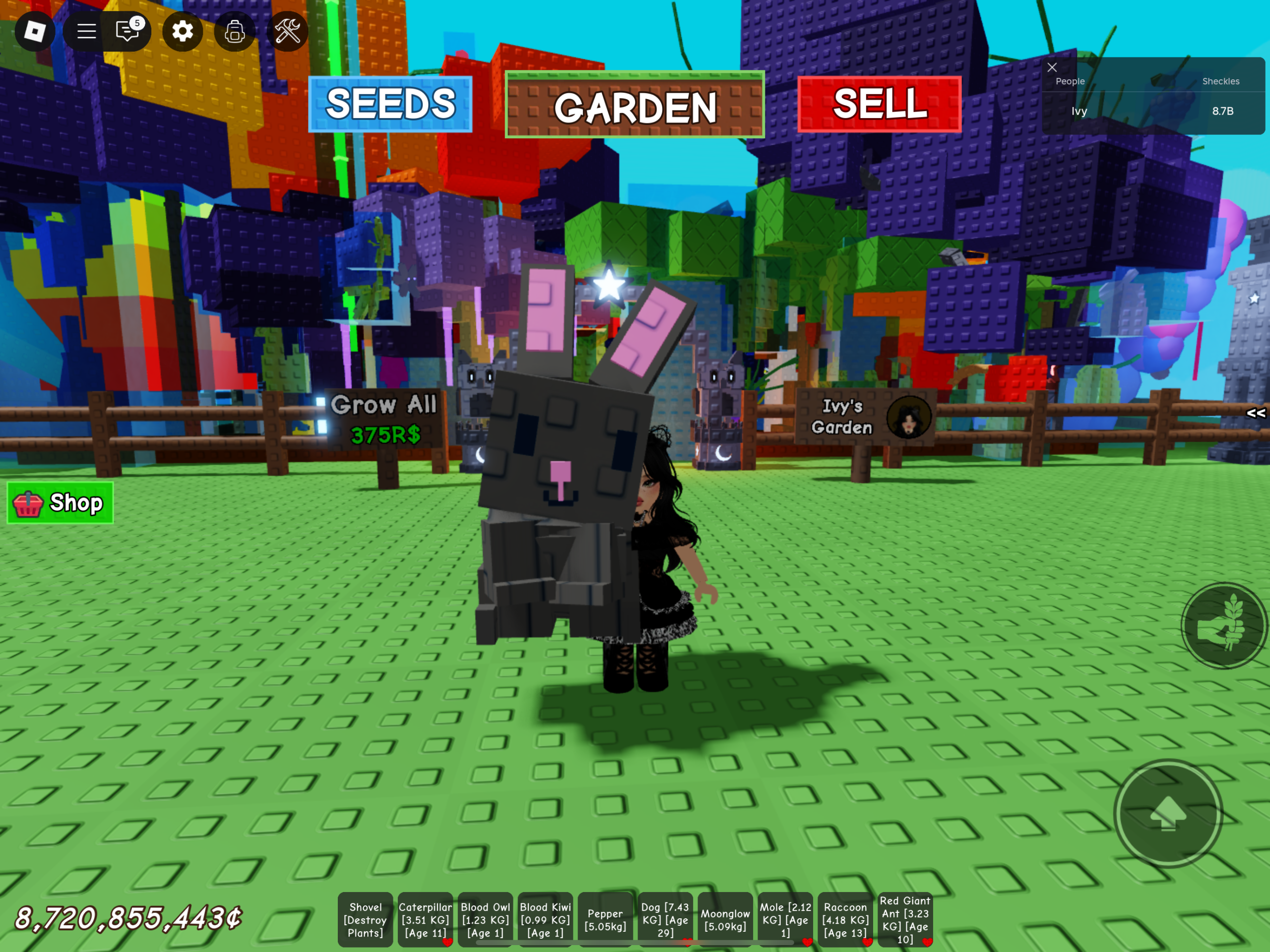 Everything You Need To Know About The Grow A Garden Black Bunny Pet