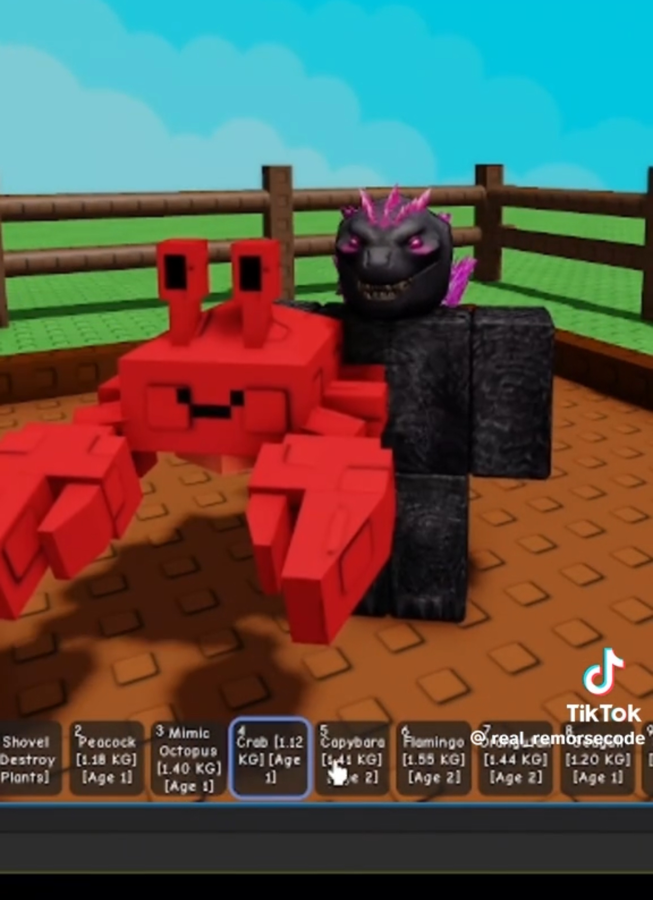 Which New Pets Are We Getting In The Grow A Garden Summer Update?