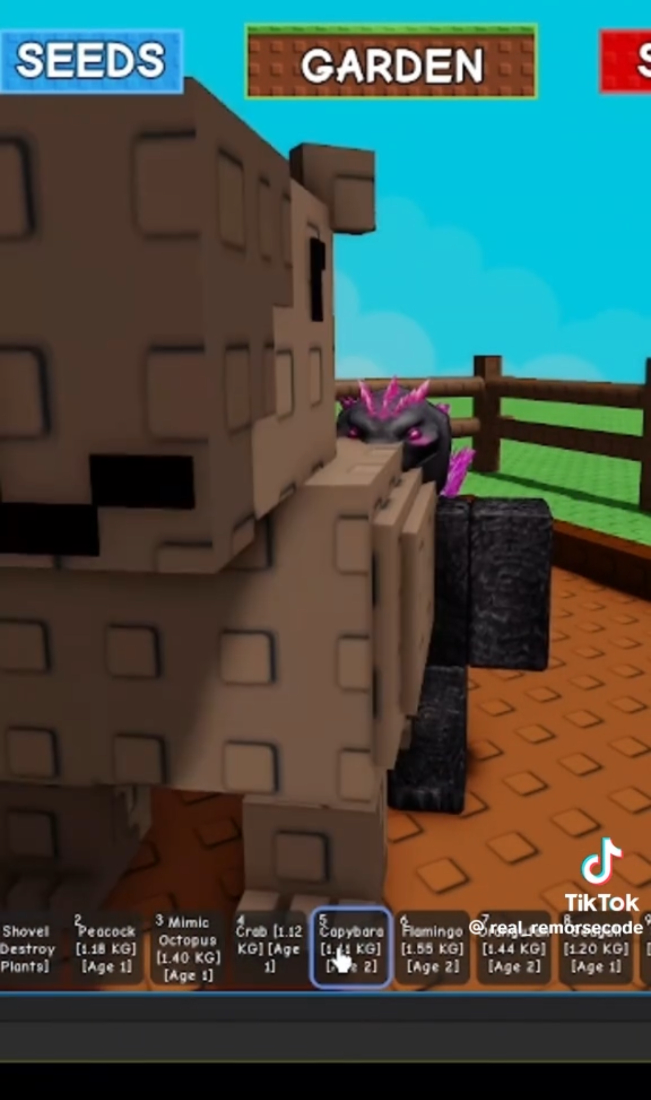 Which New Pets Are We Getting In The Grow A Garden Summer Update?