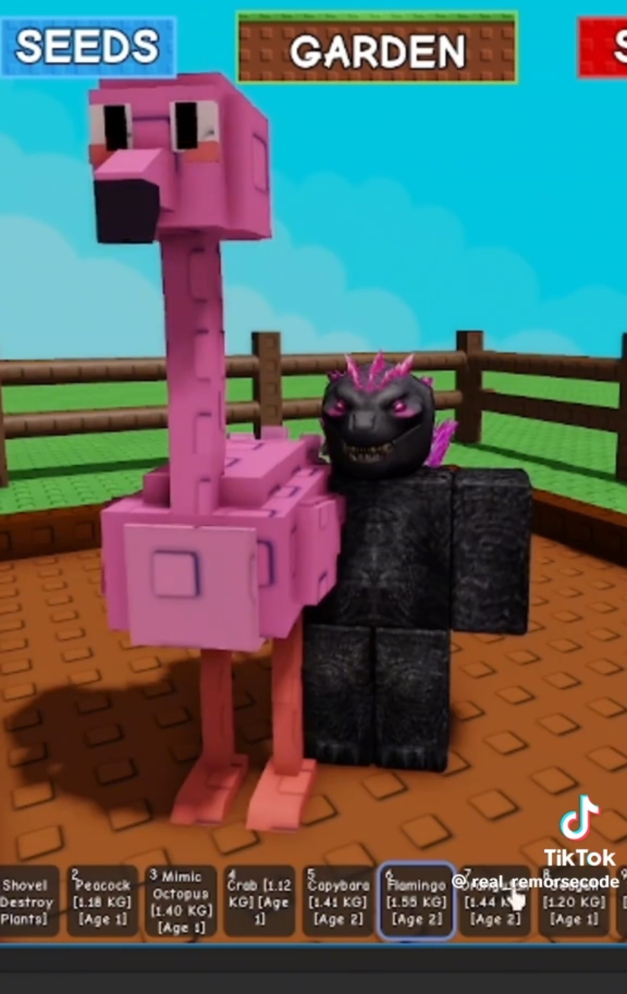 Which New Pets Are We Getting In The Grow A Garden Summer Update?