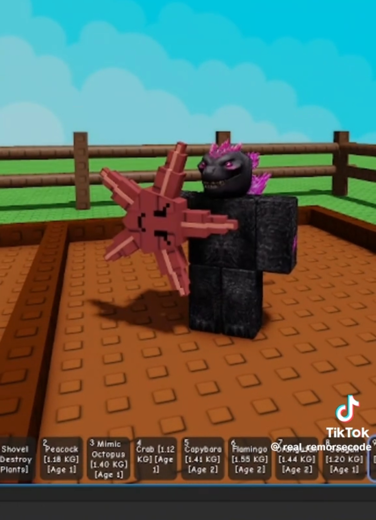 Which New Pets Are We Getting In The Grow A Garden Summer Update?