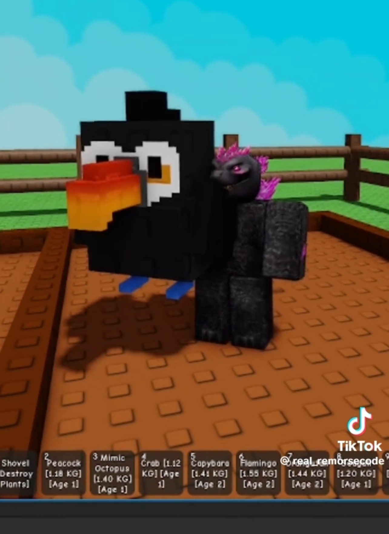 Which New Pets Are We Getting In The Grow A Garden Summer Update?