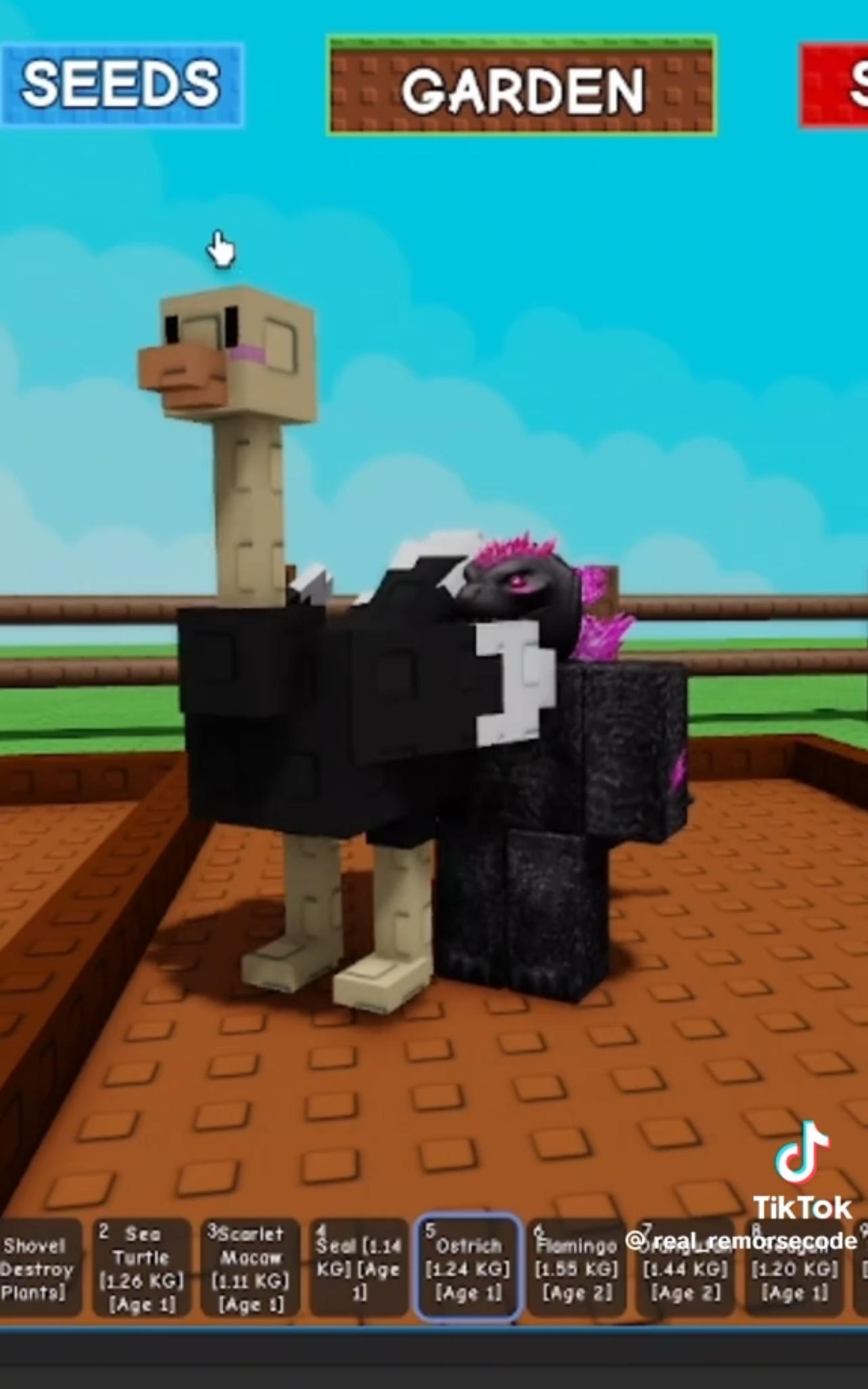 Which New Pets Are We Getting In The Grow A Garden Summer Update?