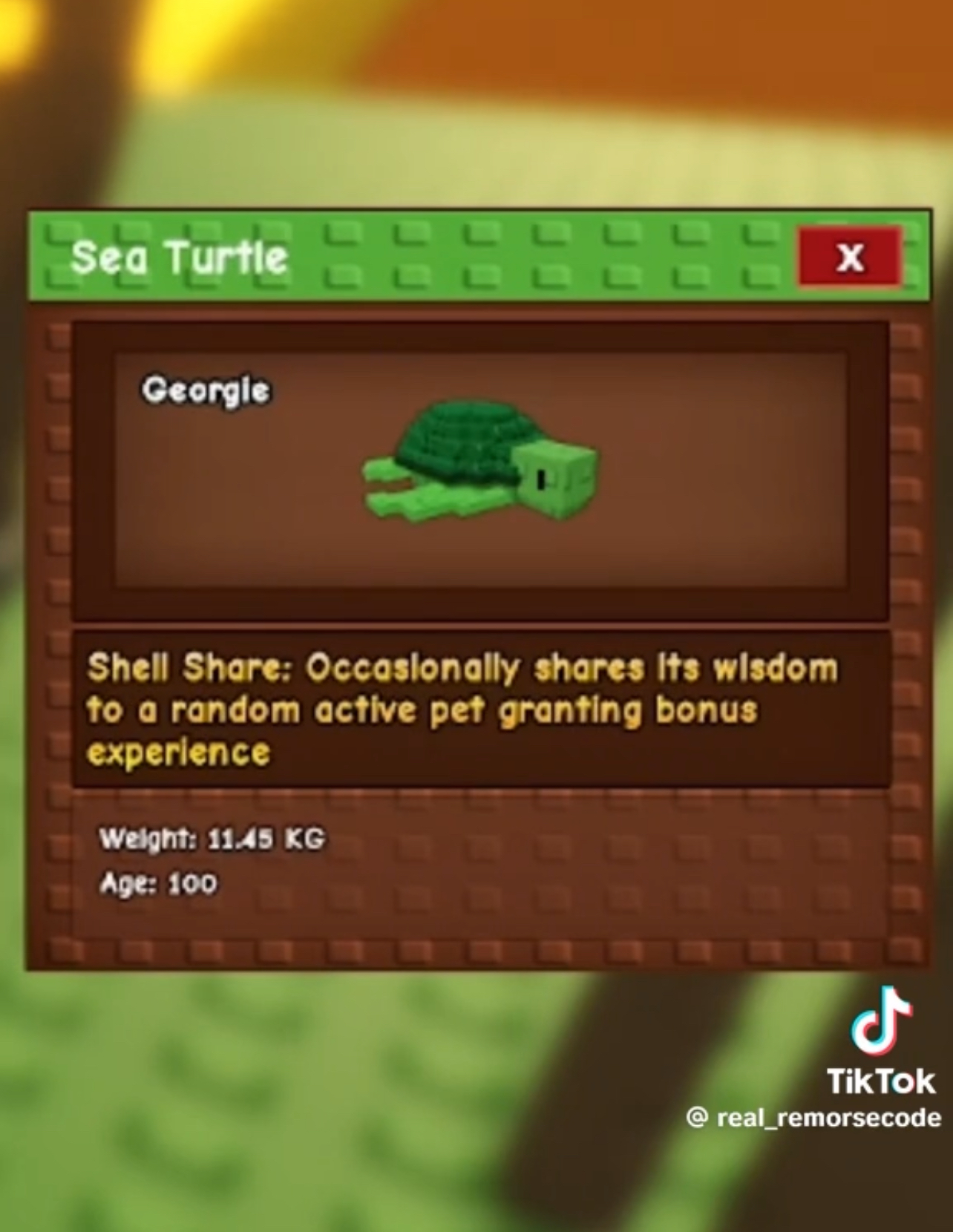 Which New Pets Are We Getting In The Grow A Garden Summer Update?