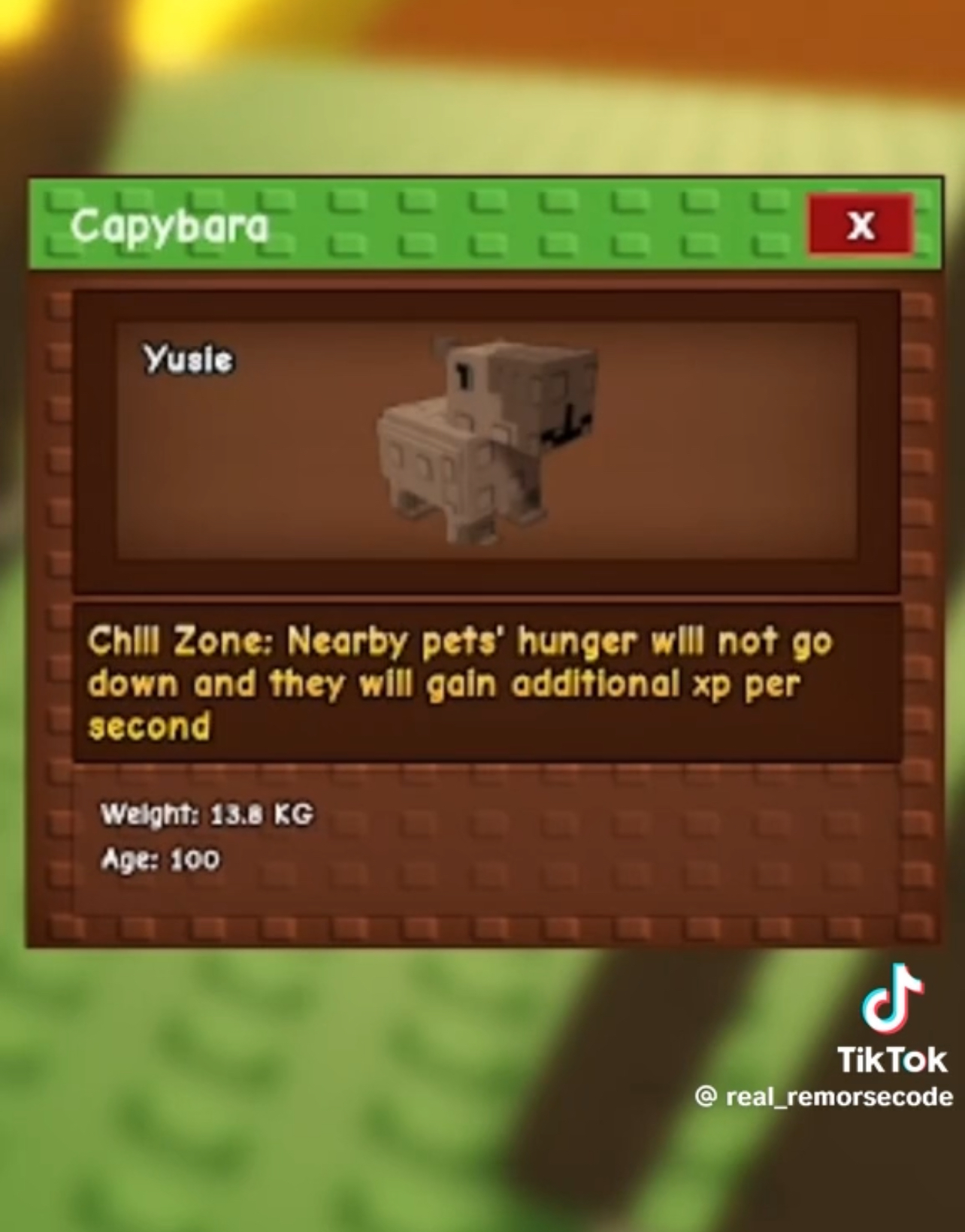 Which New Pets Are We Getting In The Grow A Garden Summer Update?