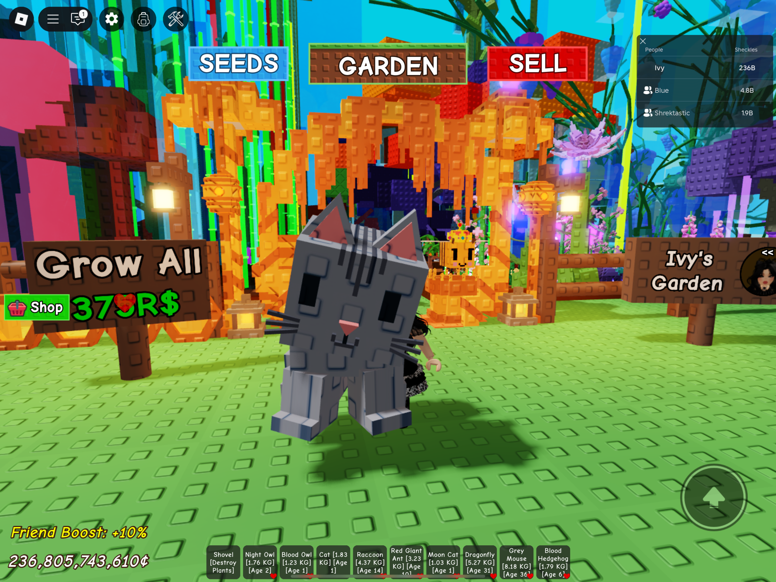 What Is The Grow A Garden Cat Pet?