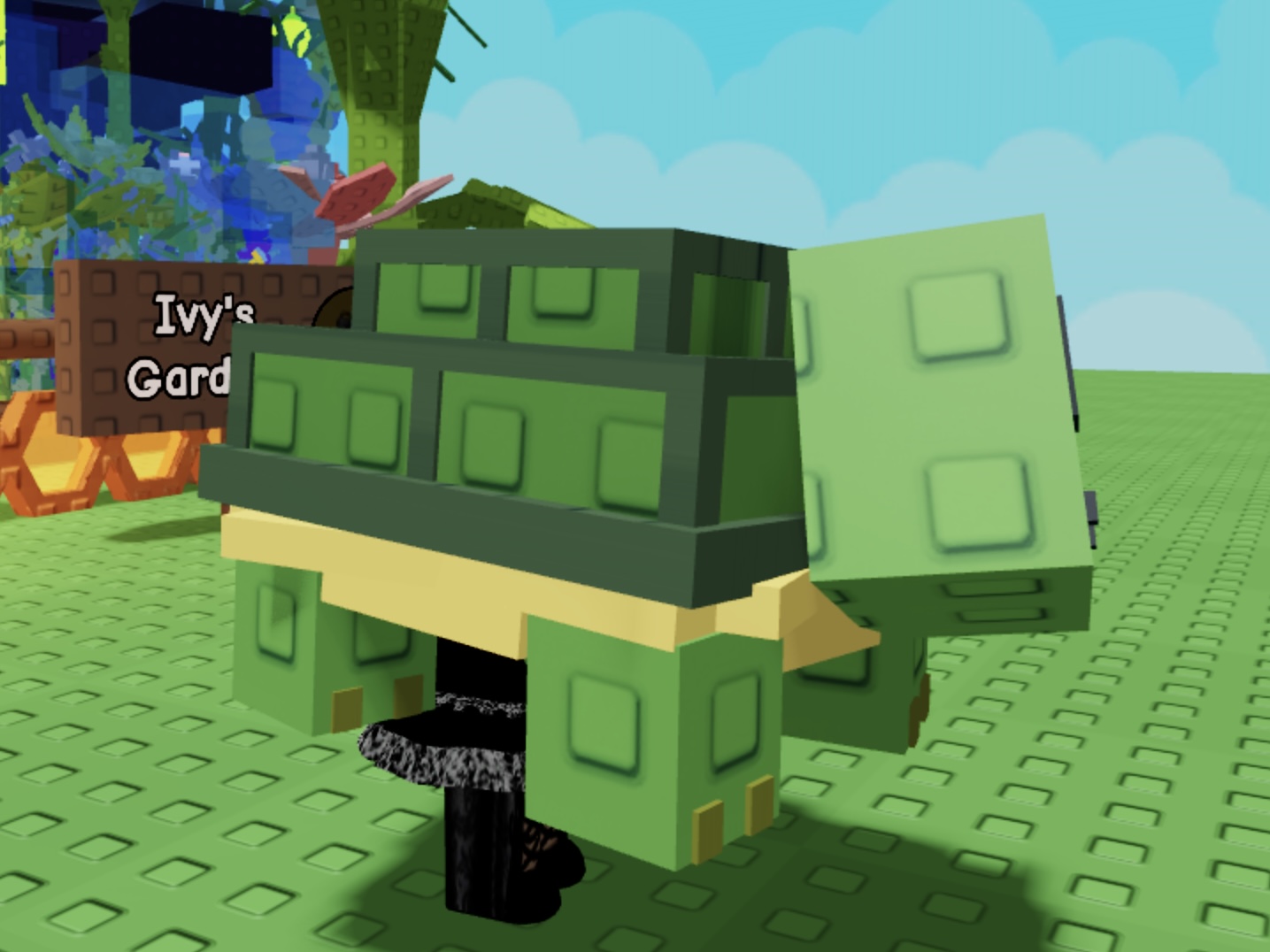 What Are The Benefits Of The Grow A Garden Turtle Pet?