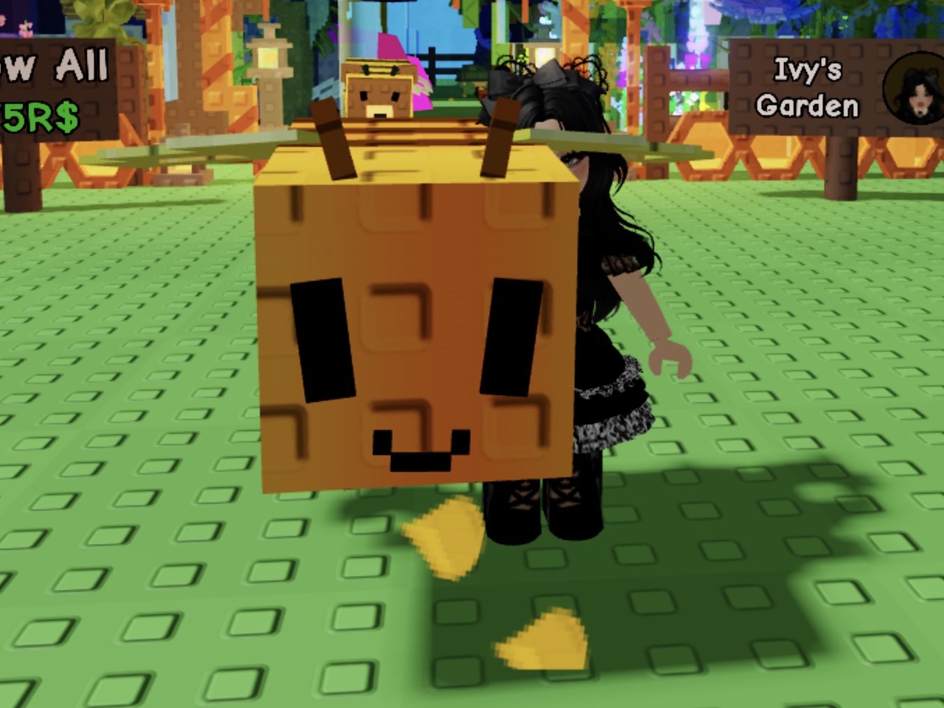 What Benefit Does The Grow A Garden Honey Bee Give You?