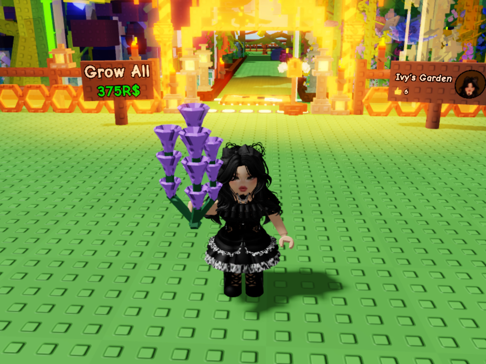 Grow A Garden Launches NEW LAVENDER Seed