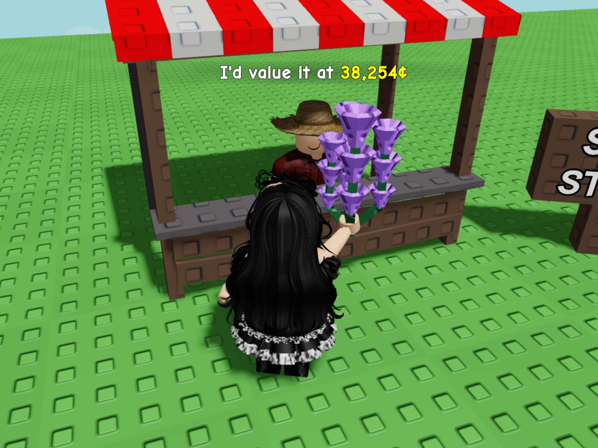 Grow A Garden Launches NEW LAVENDER Seed