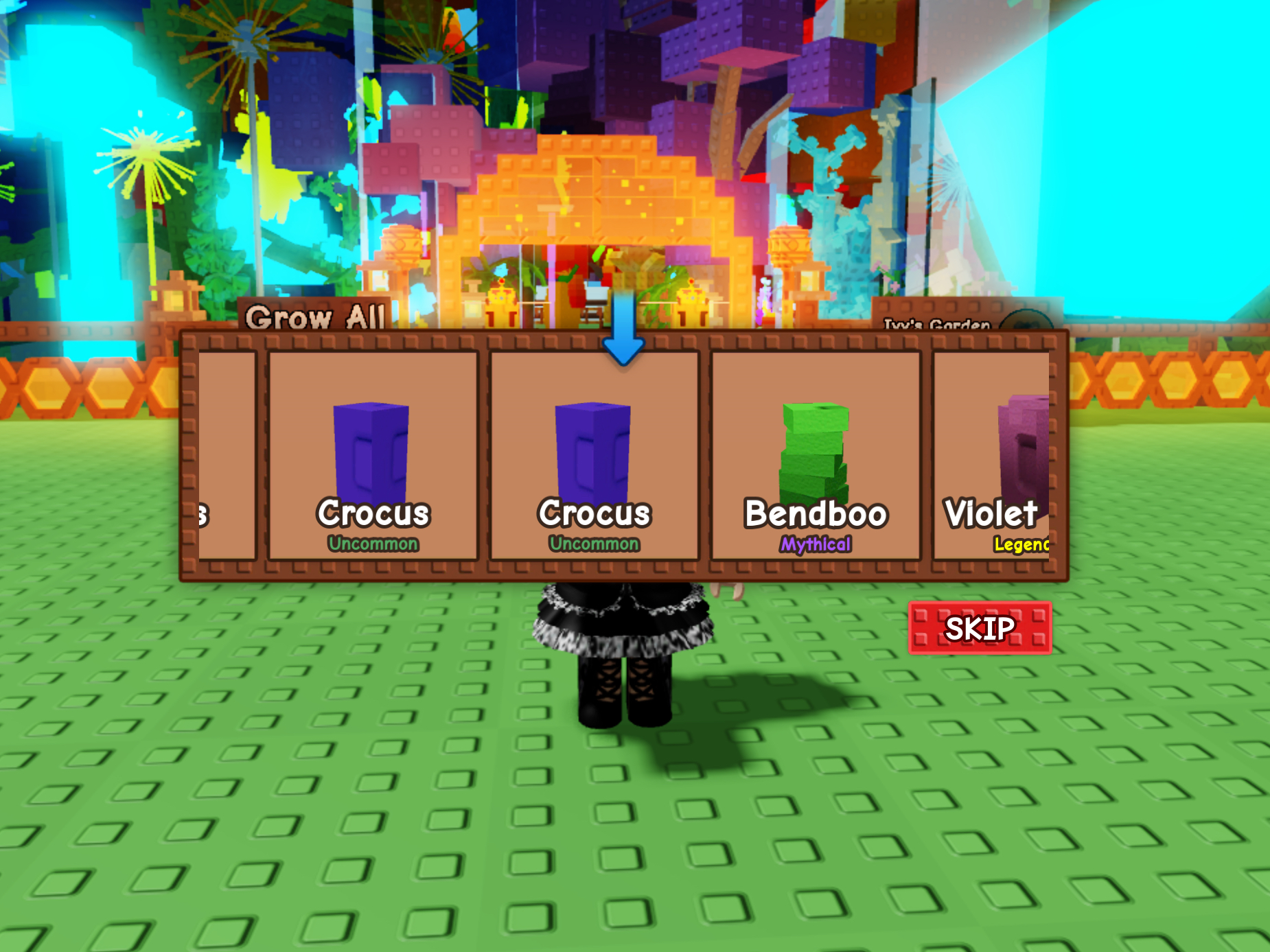 Grow A Garden Launches NEW CROCUS Seed