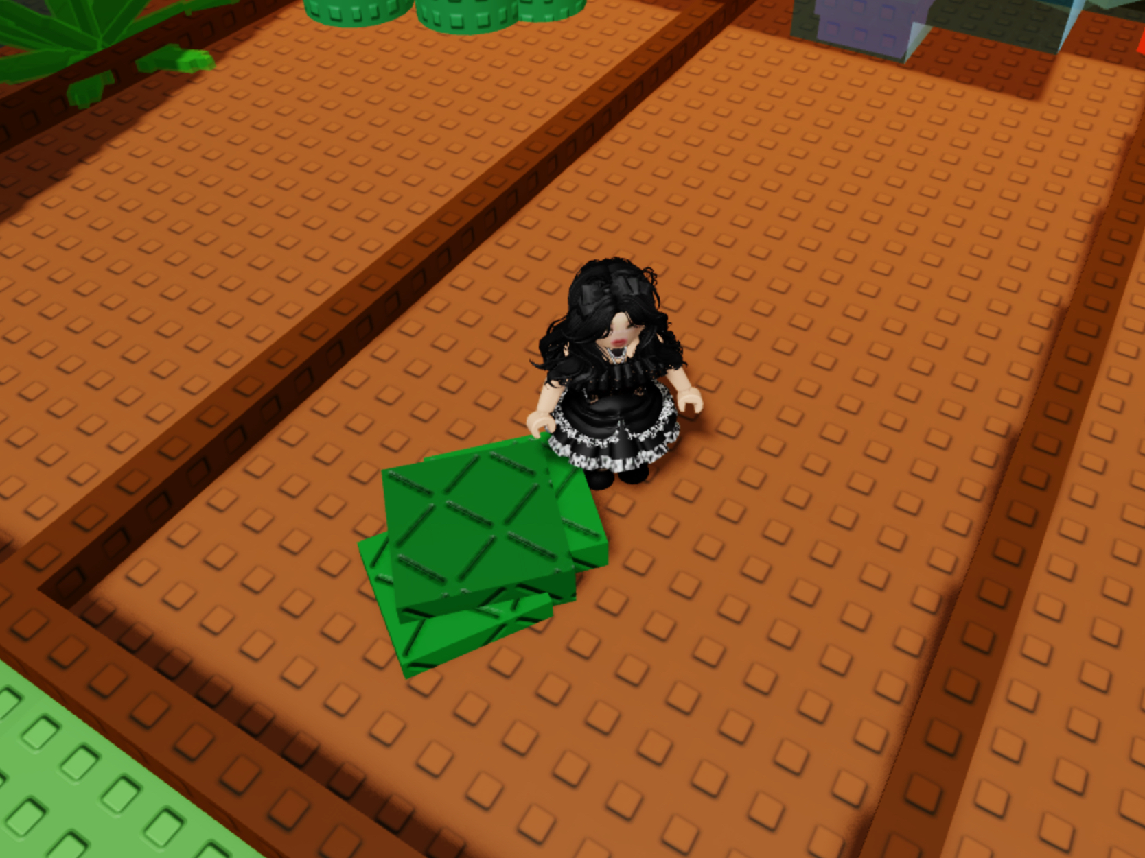 Grow A Garden Launches NEW BEE BALM Seed