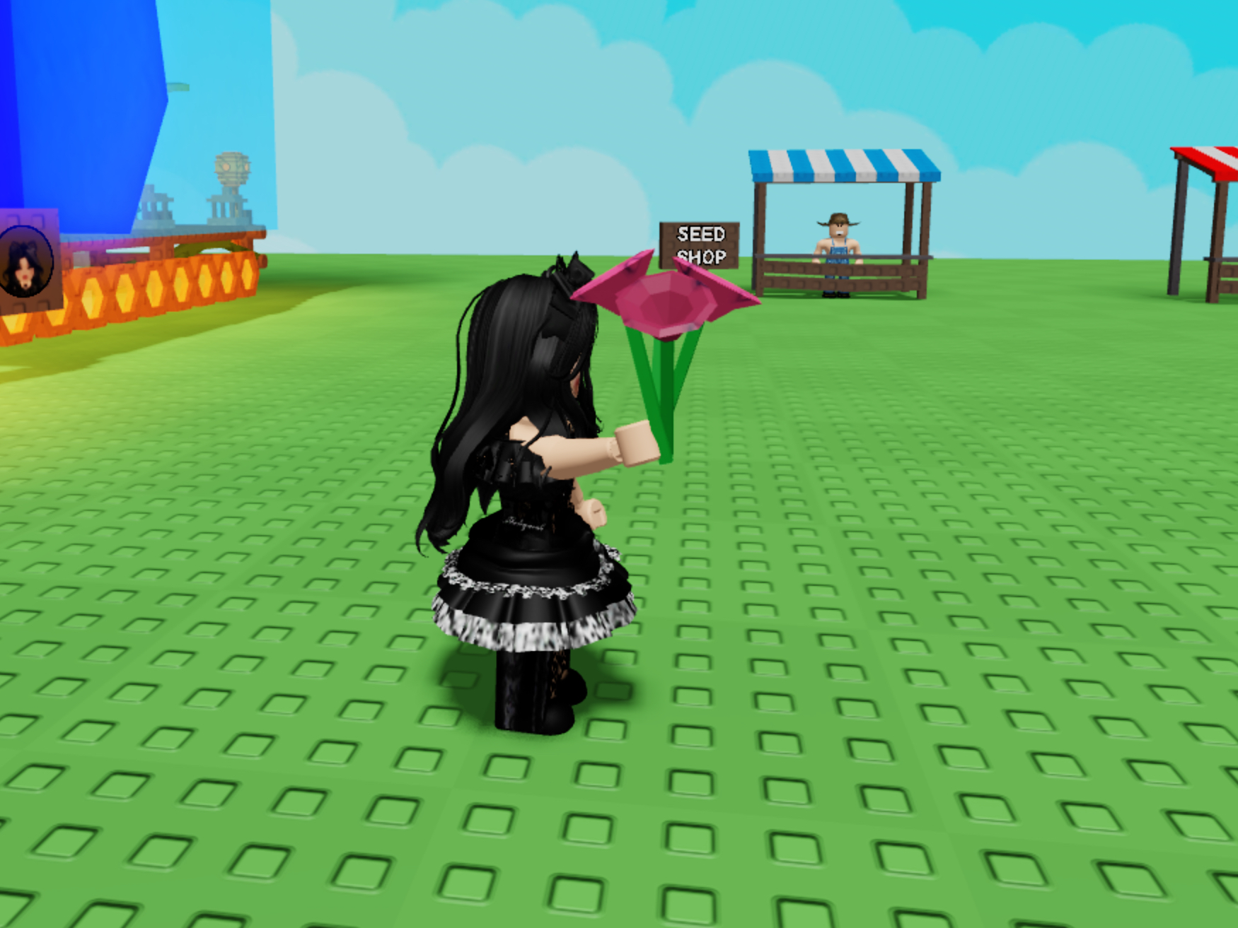 Grow A Garden Launches NEW BEE BALM Seed