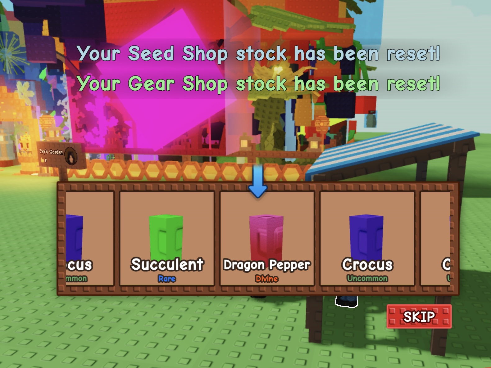 It Took Me Over 250 Crafters Seed Packs To Get The Dragon Pepper Seed