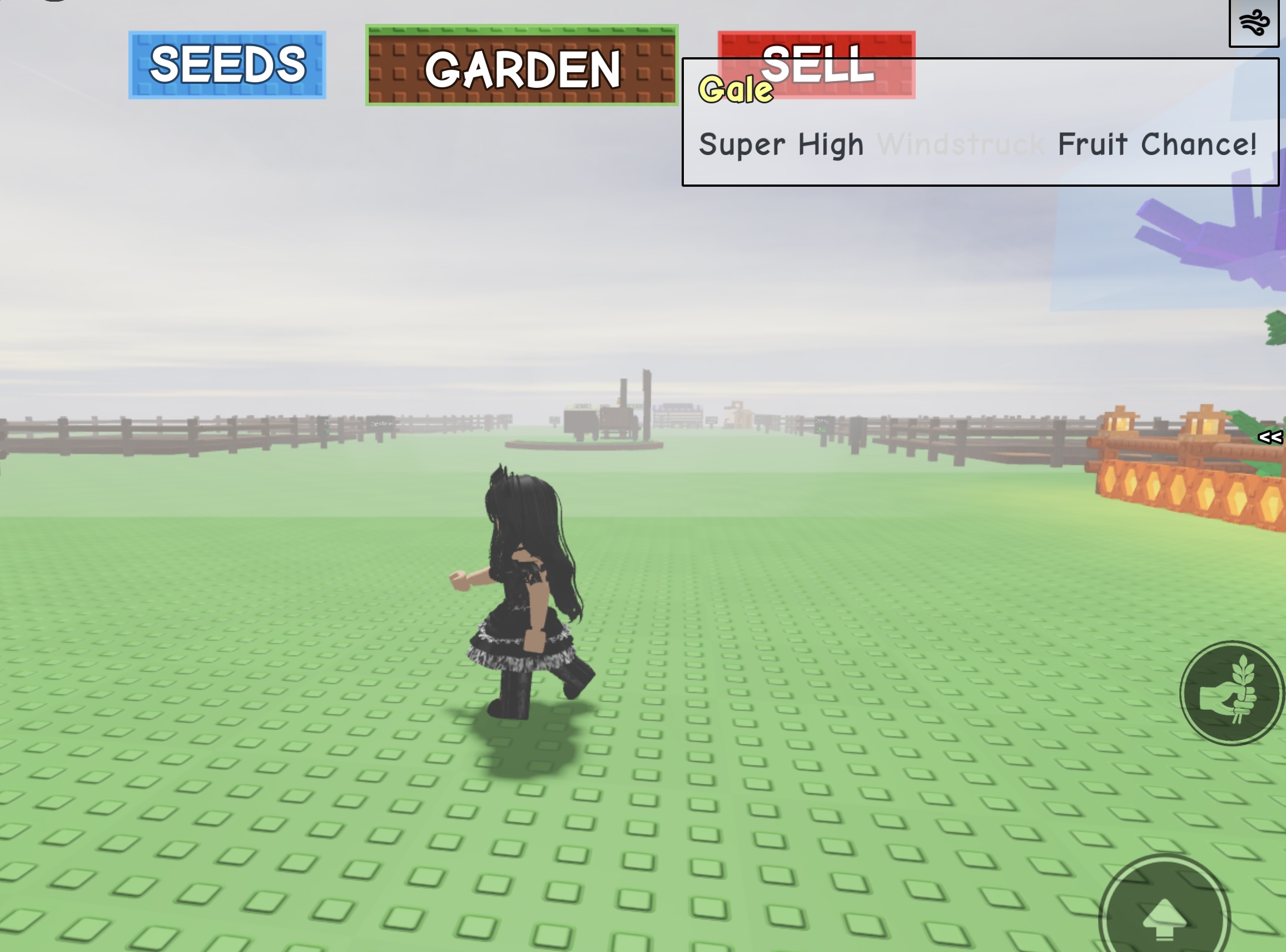 What Is The Gale Grow A Garden Weather Event?