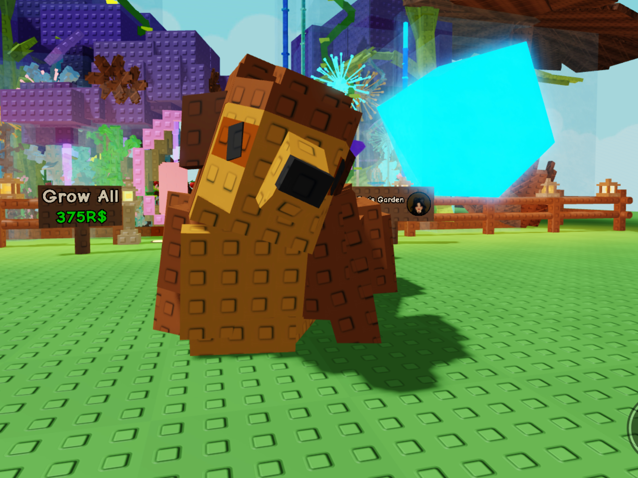 What Is The Grow A Garden Meerkat Pet?