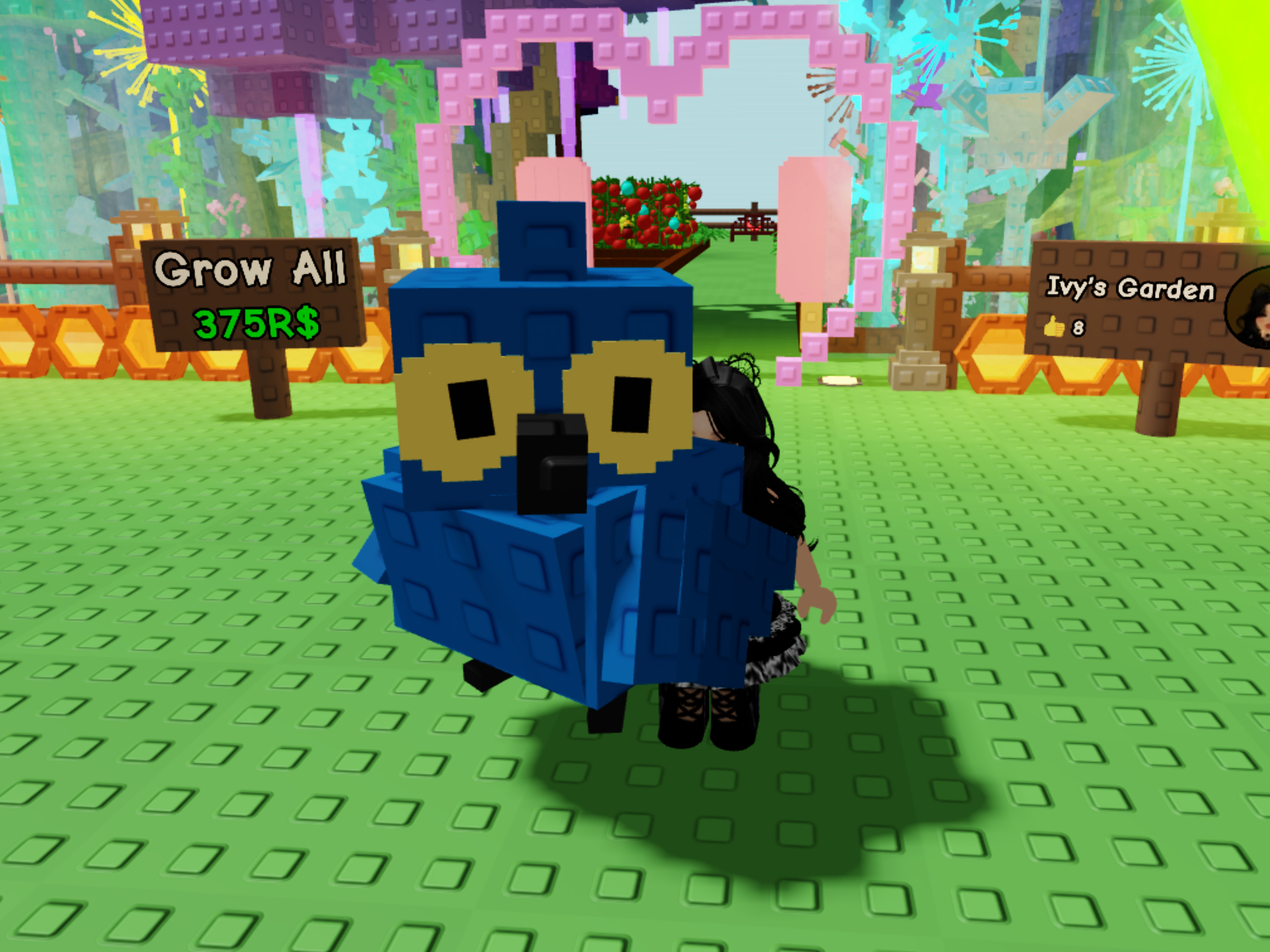 Everything You Need To Know About The Grow A Garden Hyacinth Macaw Pet