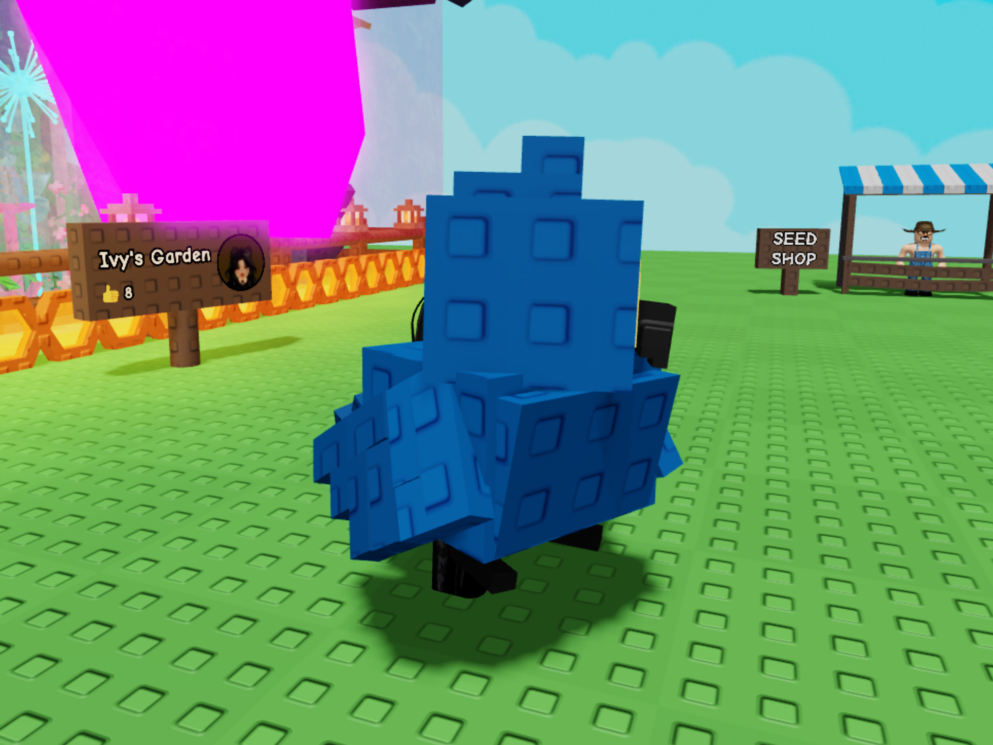 Everything You Need To Know About The Grow A Garden Hyacinth Macaw Pet