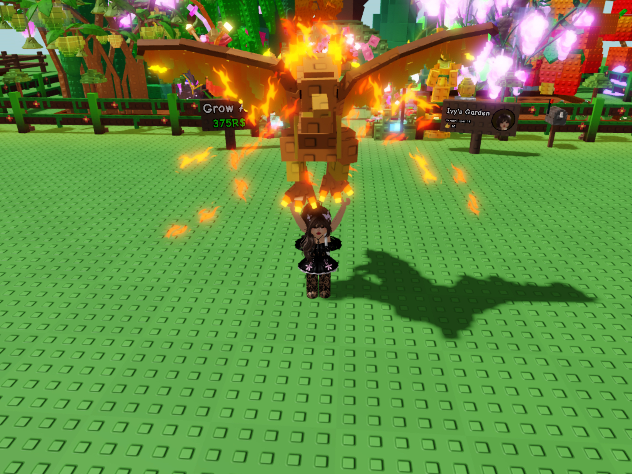 What Does The Grow A Garden Phoenix Pet Do?