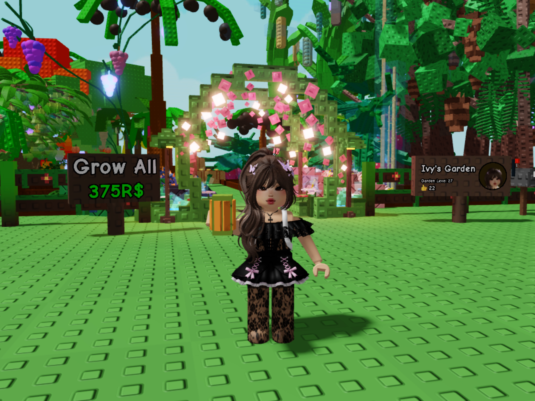 Everything You Need To Know About The Grow A Garden Carnival Pumpkin Seed