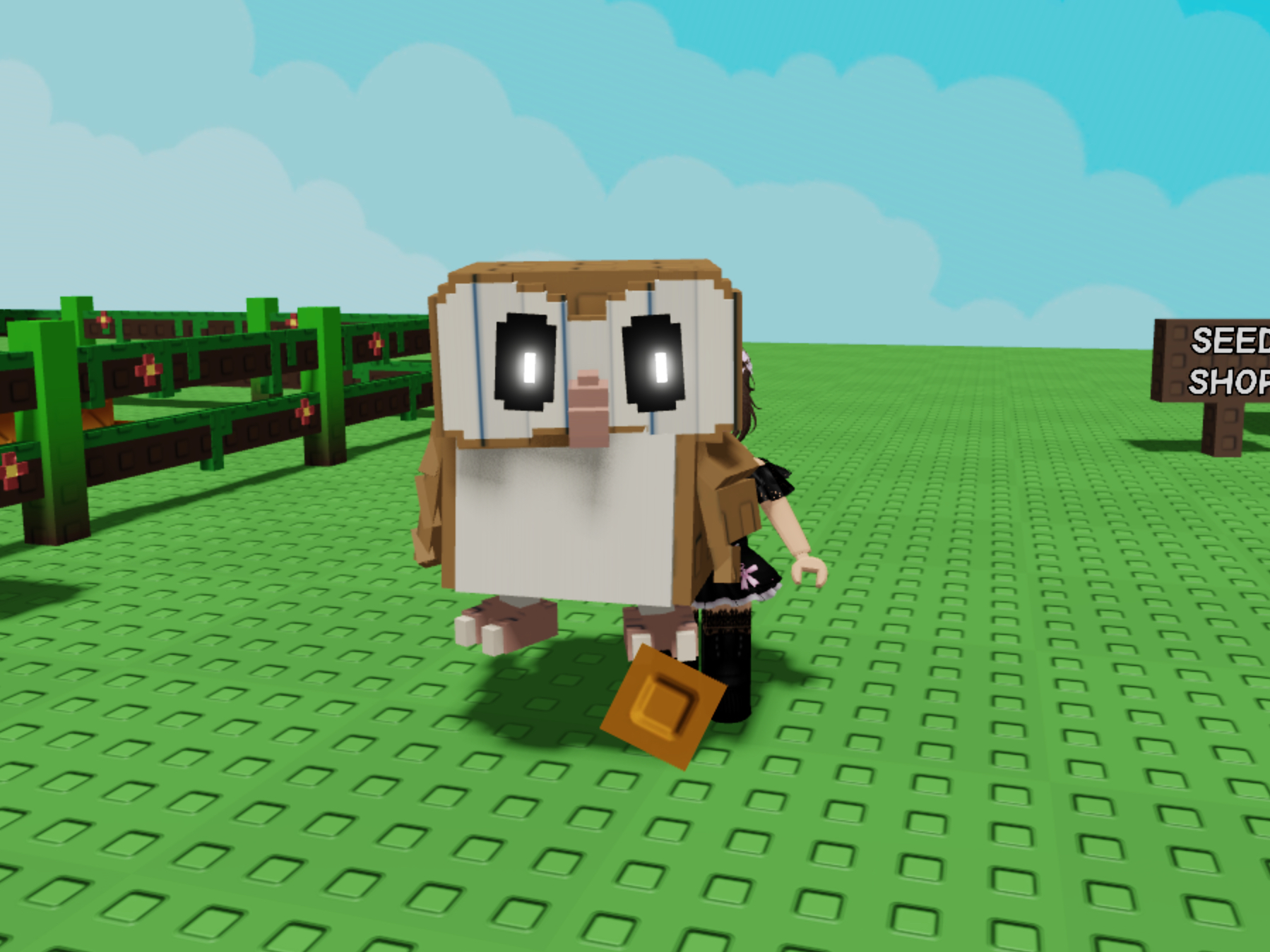 Complete Guide To The Grow A Garden Barn Owl Pet