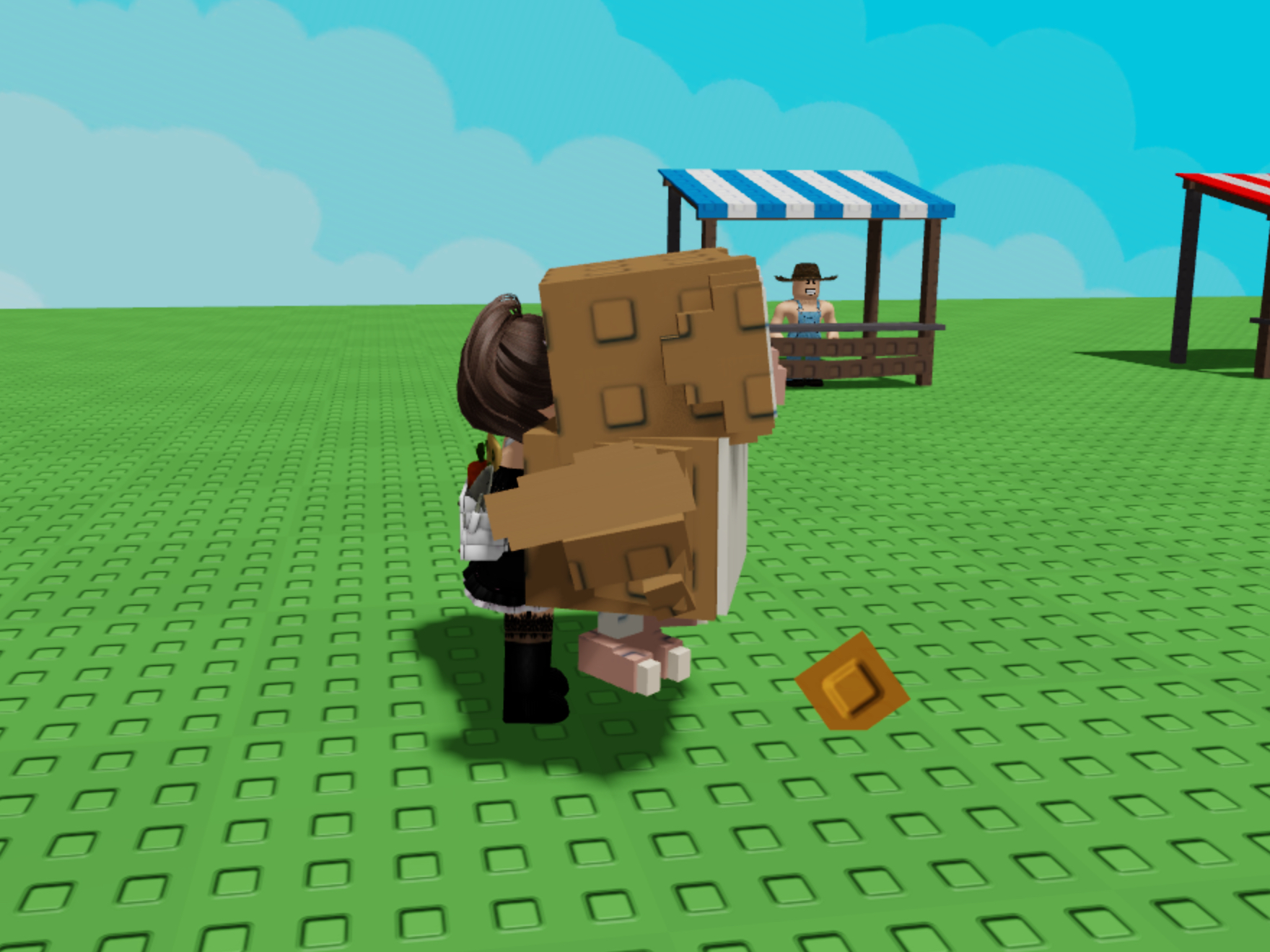 Complete Guide To The Grow A Garden Barn Owl Pet