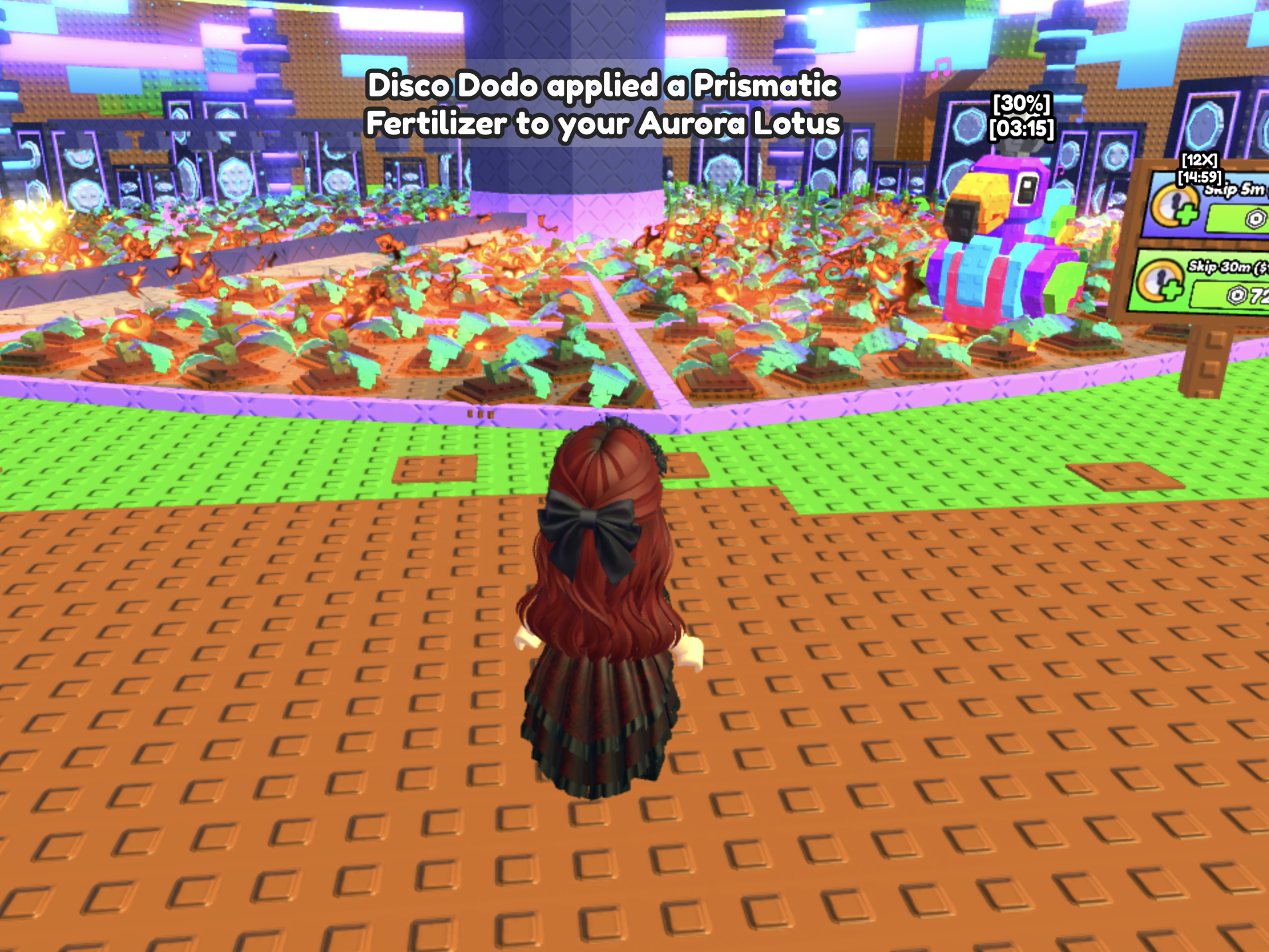 What Does The Build A Ring Farm Disco Dodo Pet Do?