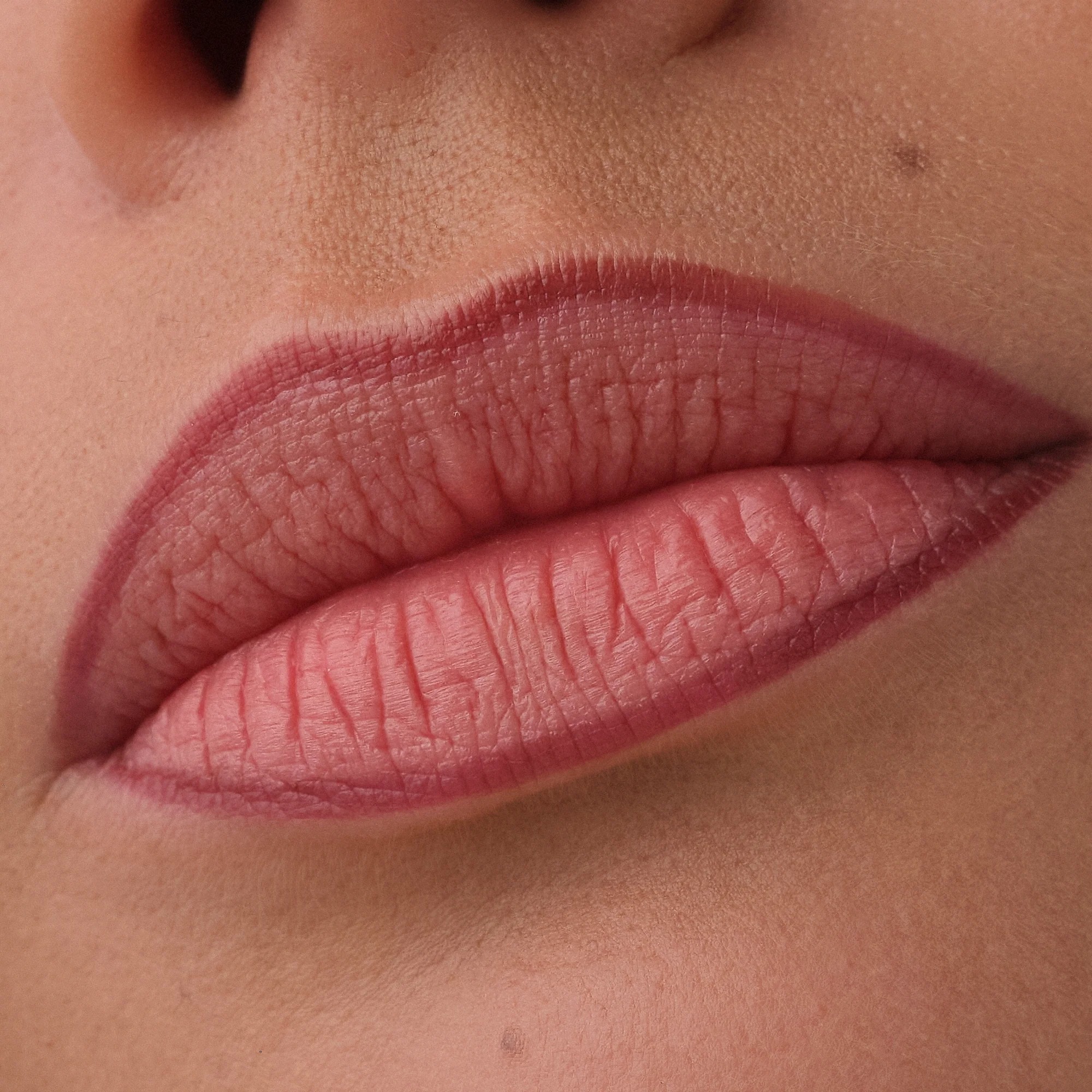 Catrice Precision Ink Lip Liner Stains
