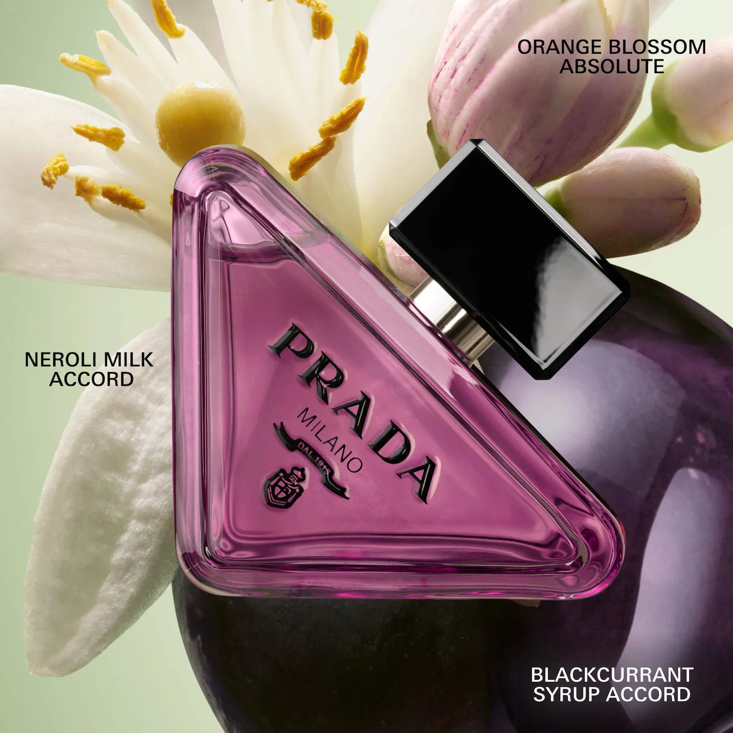Prada Paradoxe Sweet Chemistry Eau de Parfum