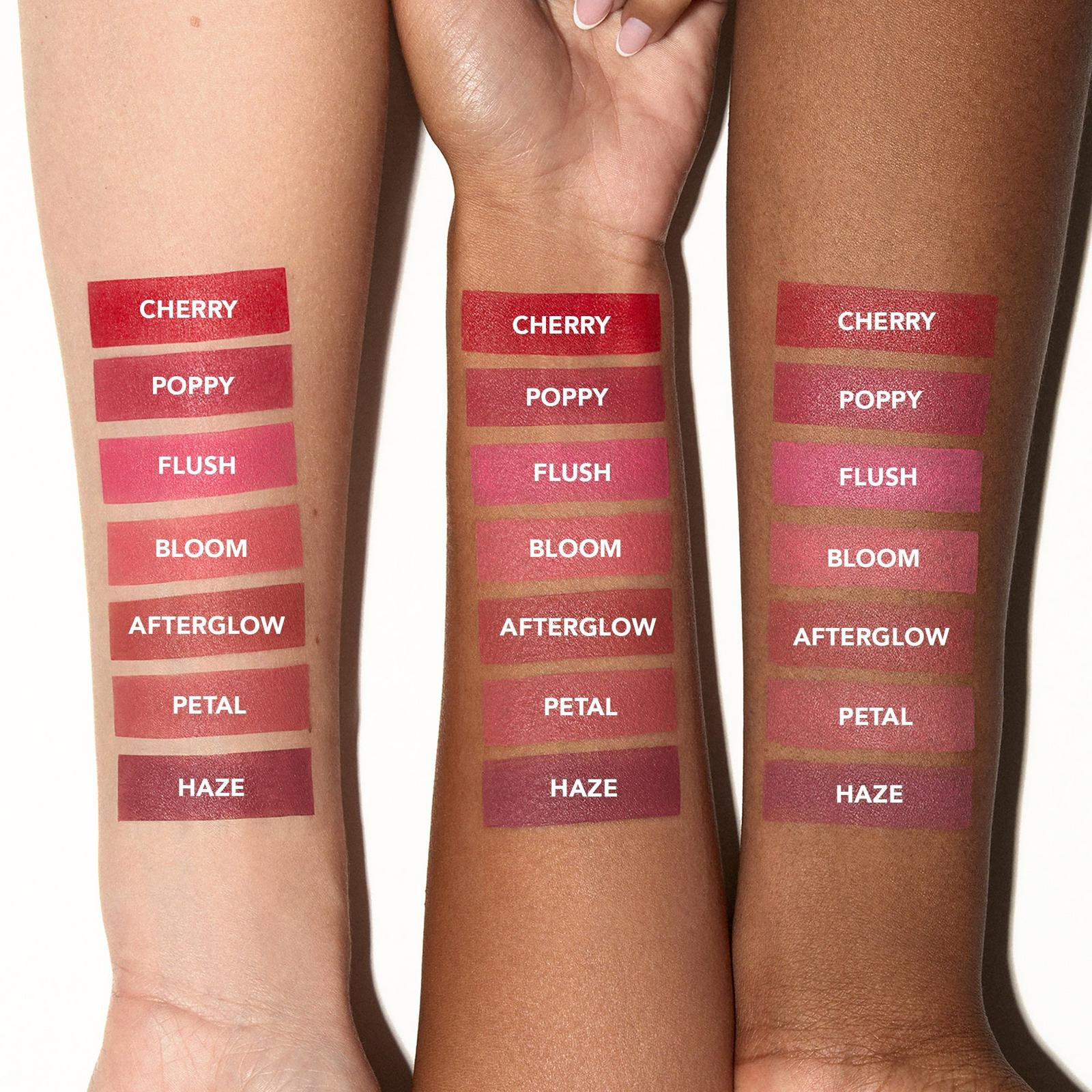BK Beauty Skin Perfecting Blush