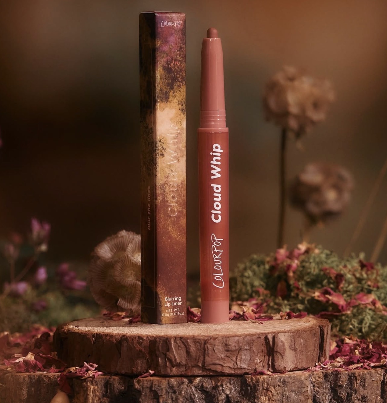 ColourPop The Fallen Collection